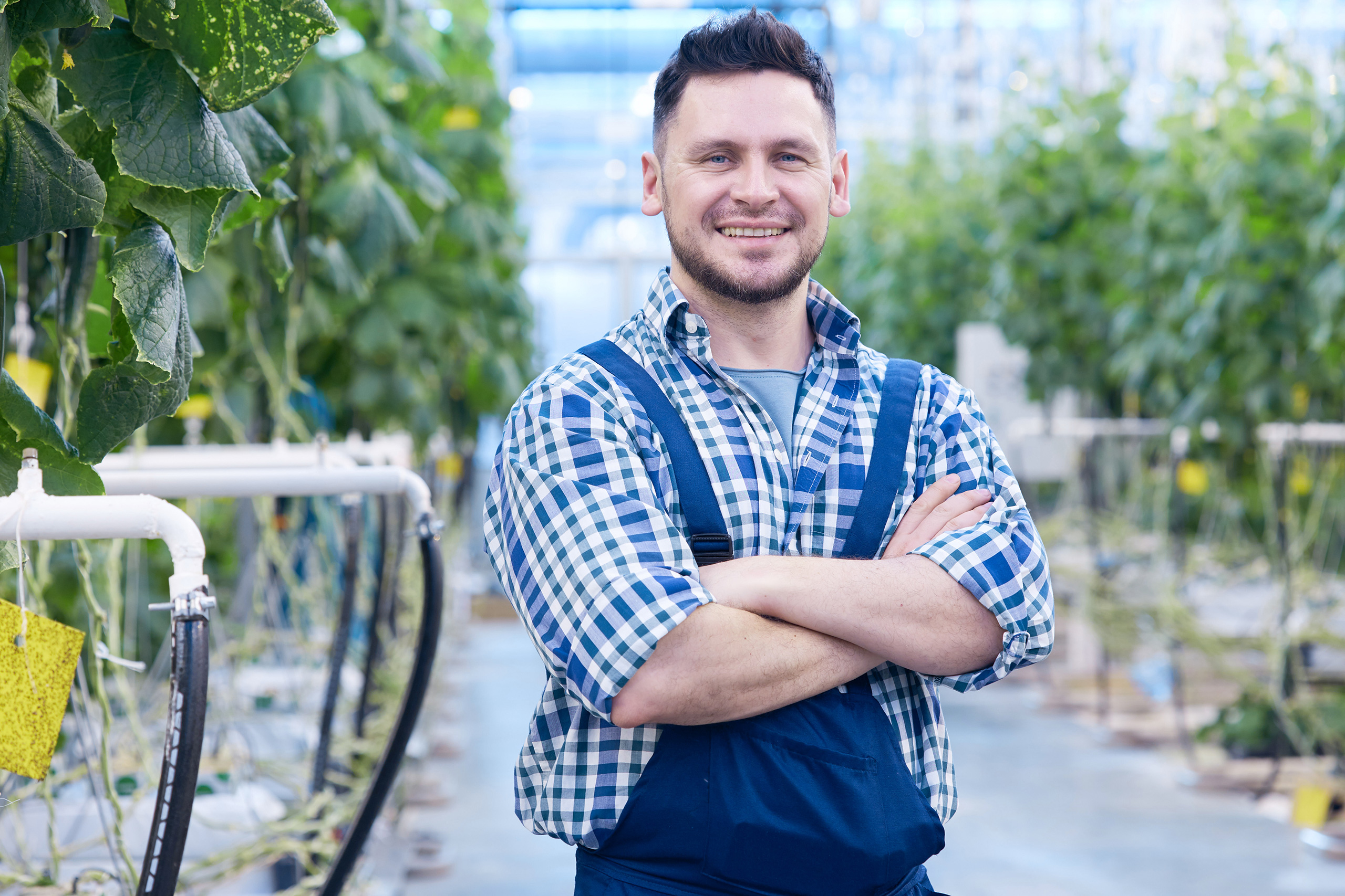 Happy Worker