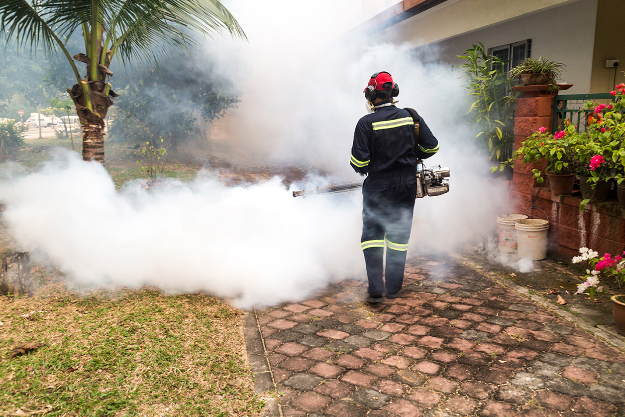 worker foggin with insecticides